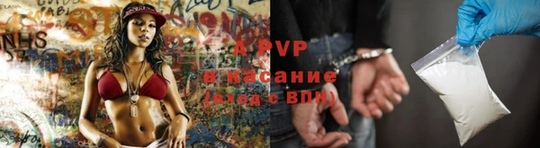 шишки Богородск