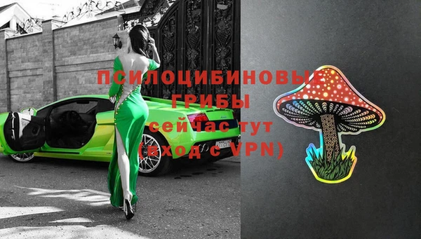 ECSTASY Бронницы