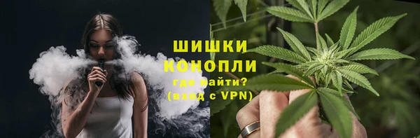 шишки Богородск
