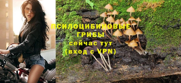 шишки Богородск