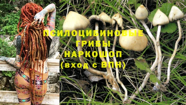 мет Богородицк