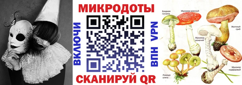 Псилоцибиновые грибы прущие грибы Кингисепп